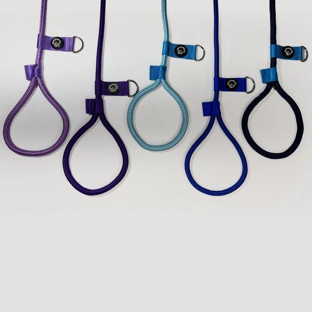 CORREA POLO 2 - Pets Masters