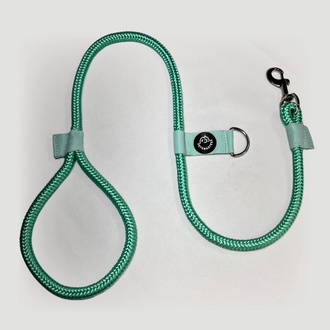 CORREA POLO 2 - Pets Masters