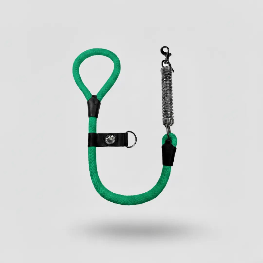 CORREA RESORTE ANTI - JALONES - Pets Masters