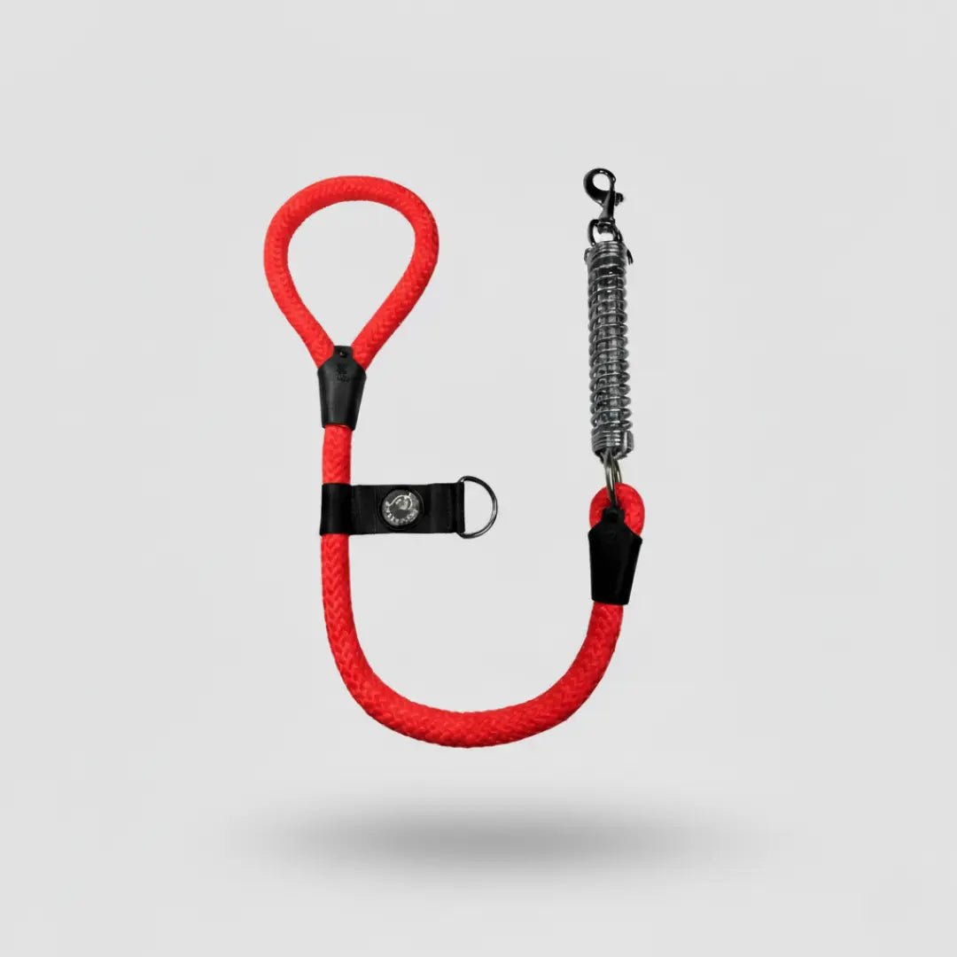 CORREA RESORTE ANTI - JALONES - Pets Masters