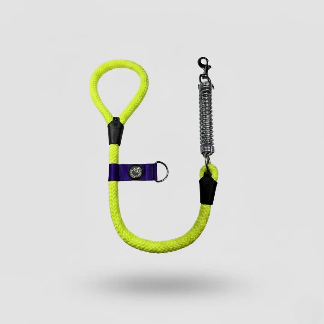 CORREA RESORTE ANTI - JALONES - Pets Masters