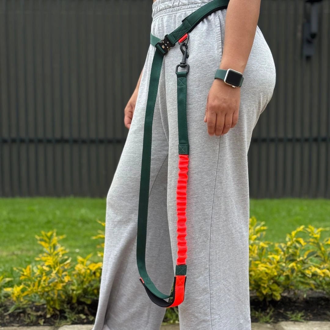 CORREA SPORT - Pets Masters