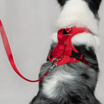 MAX PRO: ARNÉS ERGONÓMICO + CORREA GRATIS - Pets Masters