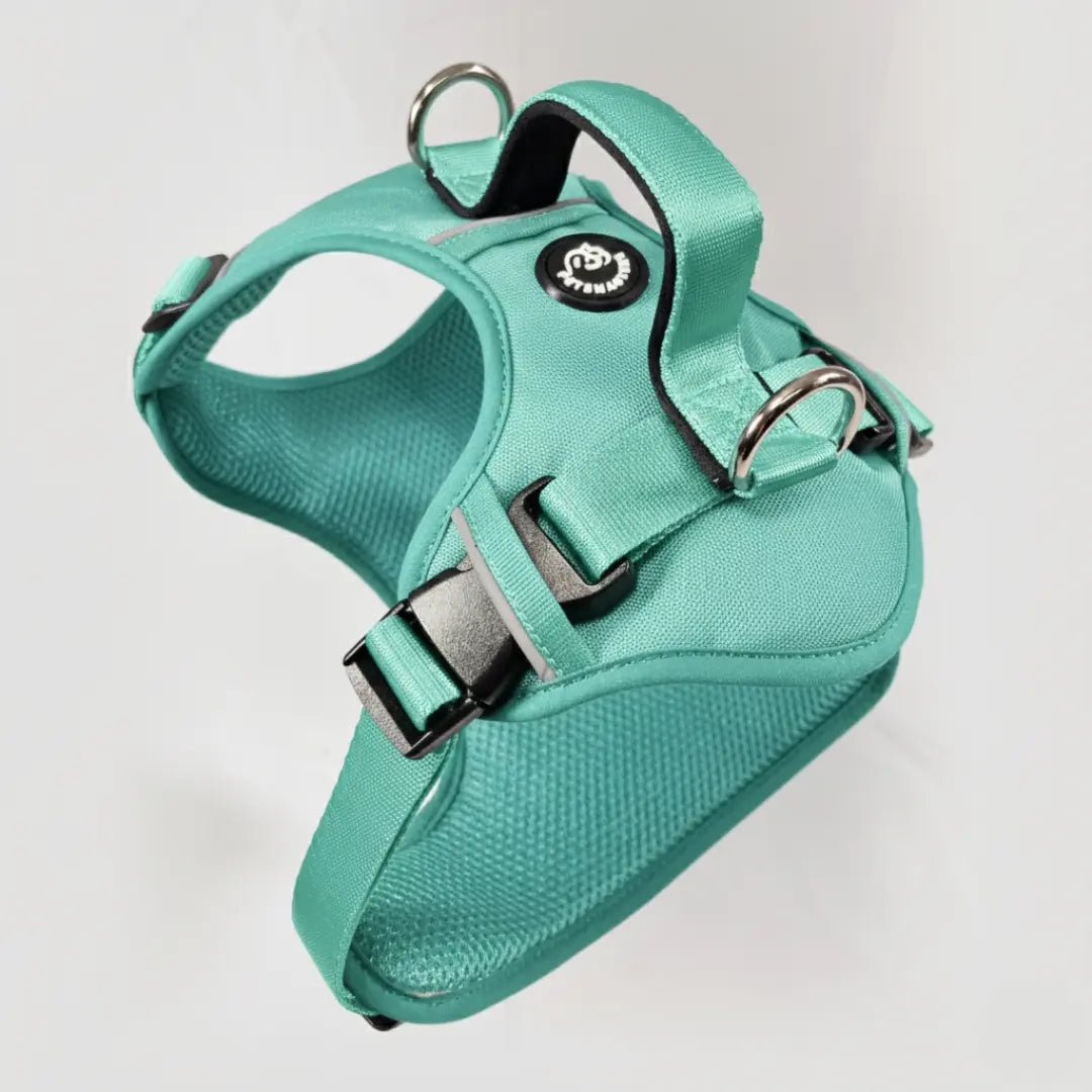 MAX PRO: ARNÉS ERGONÓMICO + CORREA GRATIS - Pets Masters