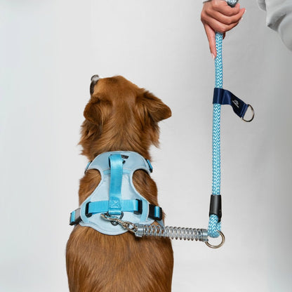 MAX PRO: ARNÉS ERGONÓMICO + CORREA GRATIS - Pets Masters