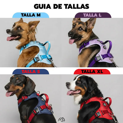 MAX PRO: ARNÉS ERGONÓMICO + CORREA GRATIS - Pets Masters