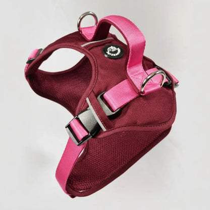 MAX PRO: ARNÉS ERGONÓMICO + CORREA GRATIS - Pets Masters