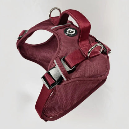 MAX PRO: ARNÉS ERGONÓMICO + CORREA GRATIS - Pets Masters