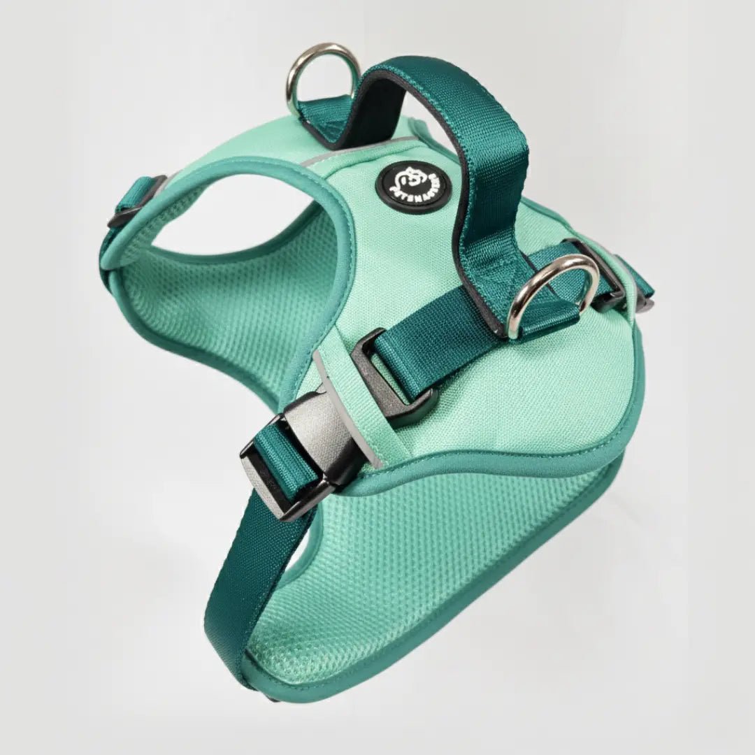 MAX PRO: ARNÉS ERGONÓMICO + CORREA GRATIS - Pets Masters