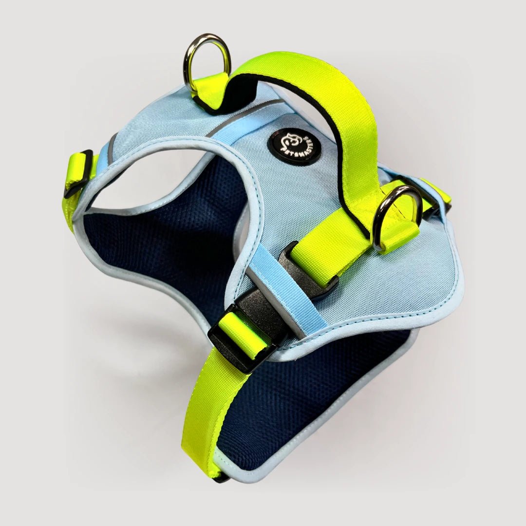MAX PRO: ARNÉS ERGONÓMICO + CORREA GRATIS - Pets Masters