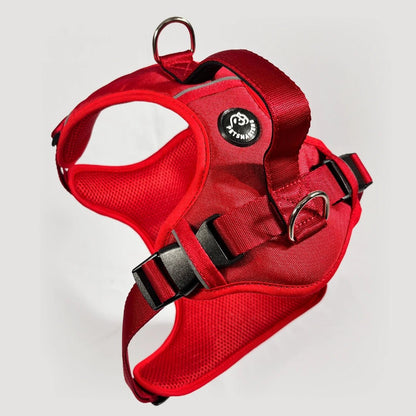 MAX PRO: ARNÉS ERGONÓMICO + CORREA GRATIS - Pets Masters